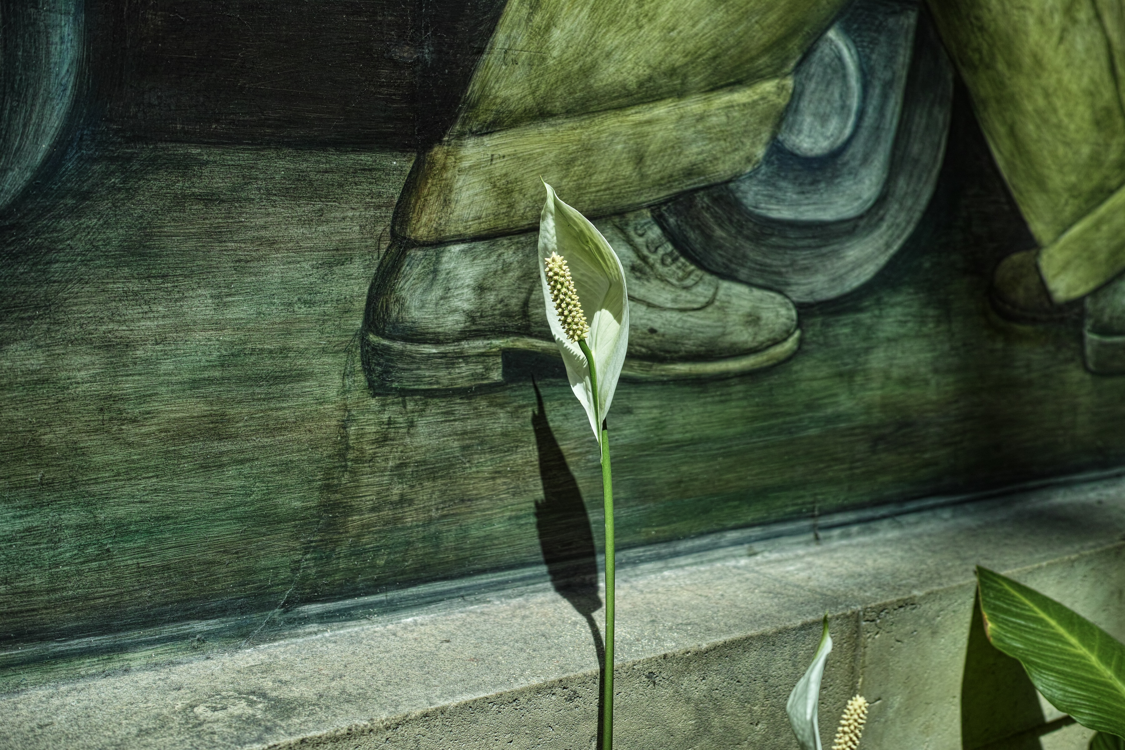 River-lily-detail-site-small